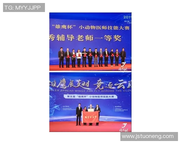 南京飞盘队的个人能力提升与团队协作的完美结合探讨